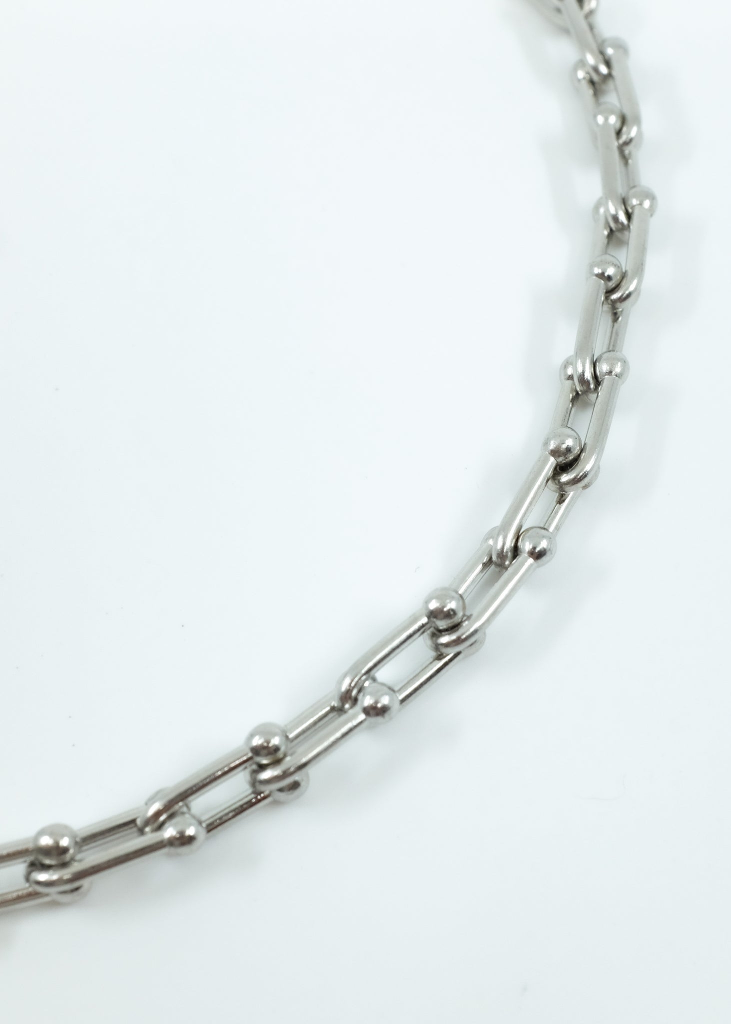 Tiffany Link Necklace (1/1)